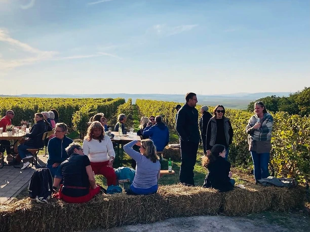 Wein Picknick Hiwweltour Aulheimer Tal