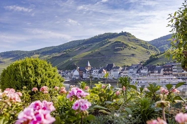 Zell