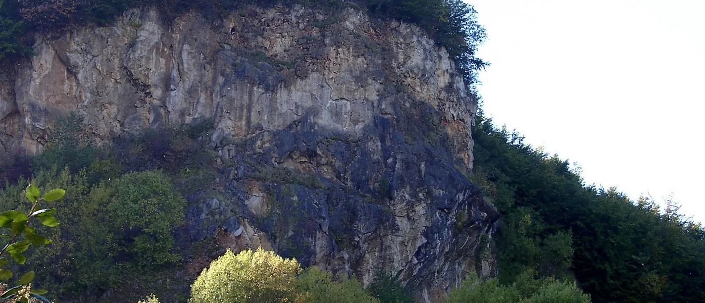 Weinberg (1)