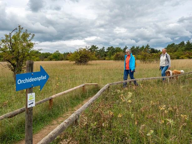 Orchideenpfad Wasserliesch