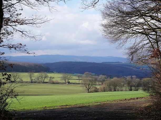Blick von der Hütte am Scheidskopf
