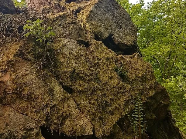 Quarzitsteinmit