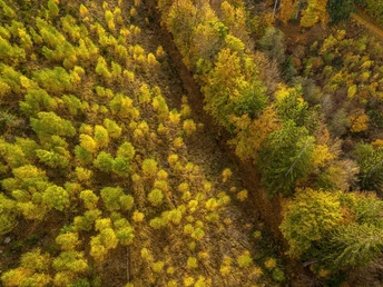 Schrauffweg Püngelbach