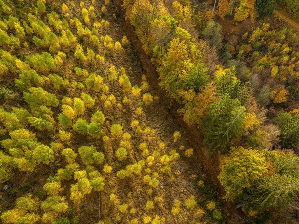 Schrauffweg Püngelbach