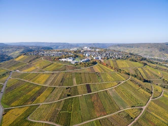 Zell (Mosel)