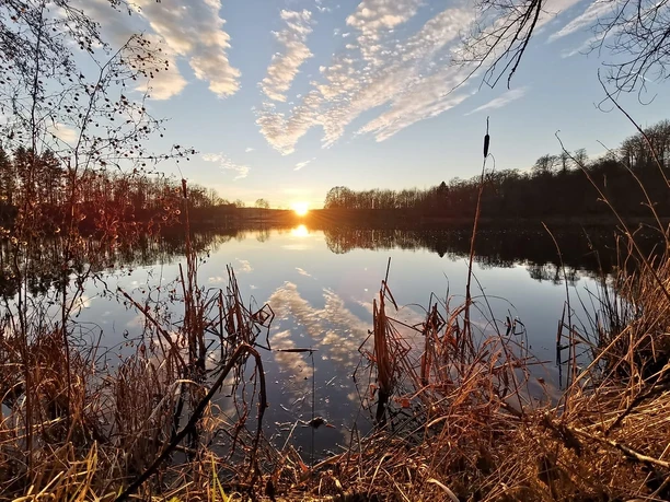 Am Holzmaar