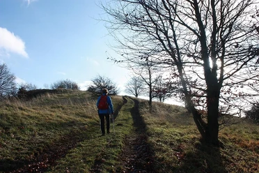 Hinauf zum Ettringer Bellerberg