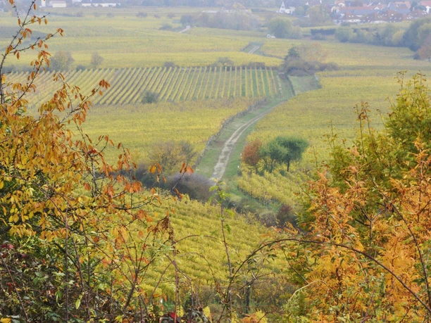 Terroirwandertag 2