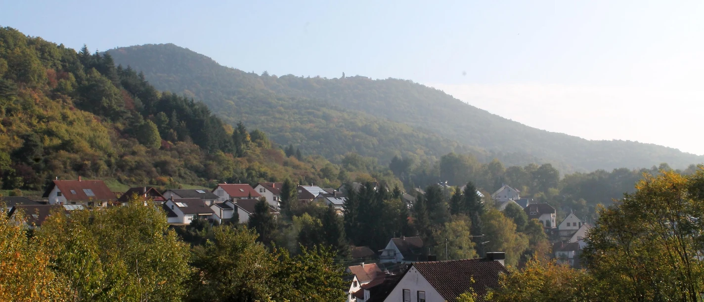 Ortsansicht