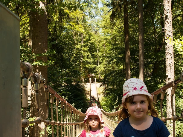 Hängebrücke Binger Wald