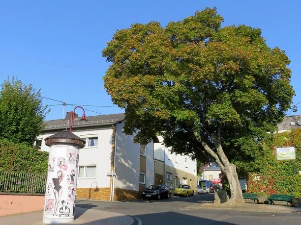Litfasäule am Nostalgikum