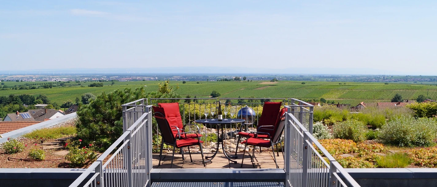 Aussicht Weingut Argus