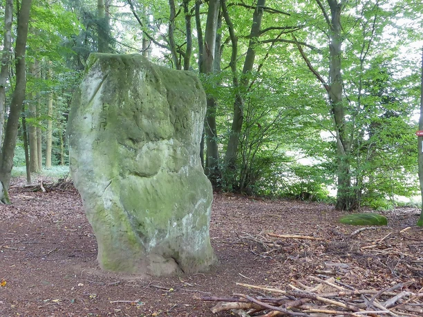 Der Druidenstein bei Bollendorf