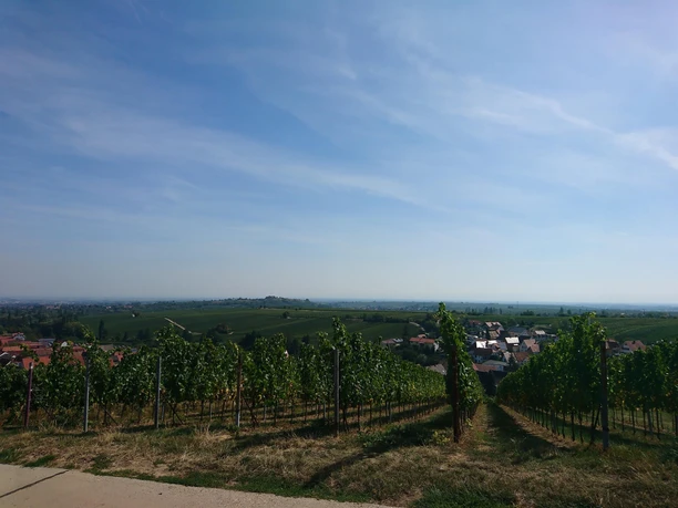 Aussicht aus dem Strandkorb