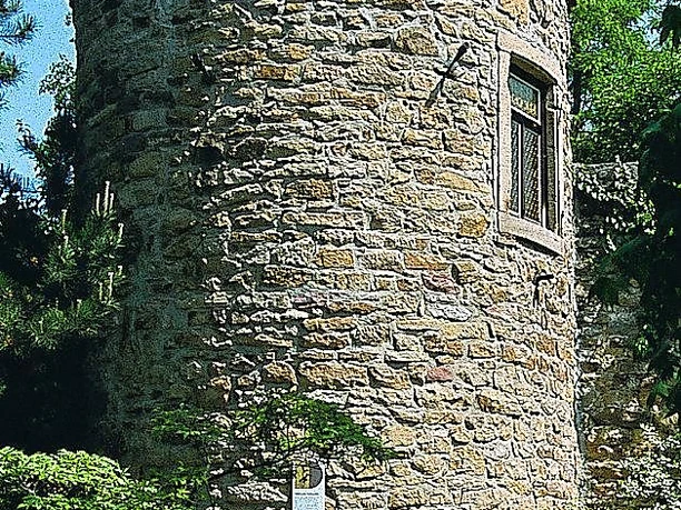 Turmschreiberturm Deidesheim 1