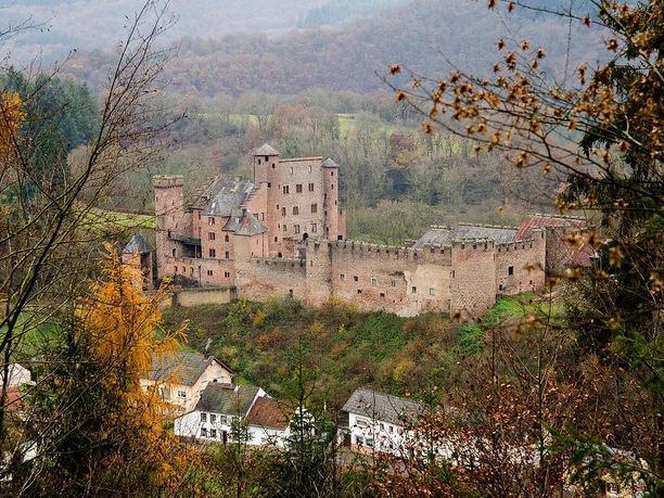 Blick auf Schloss Hamm