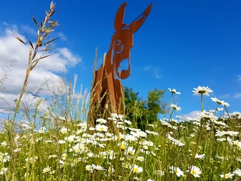 Der Murscher Stahesel