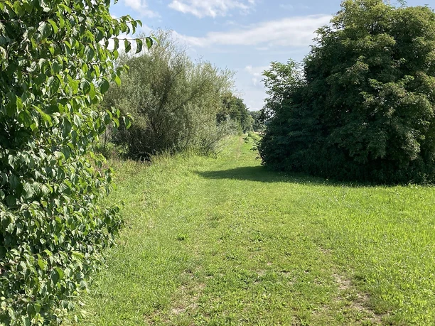 Wein- und Wiesenweg Minfeld/Freckenfeld bei Minfeld