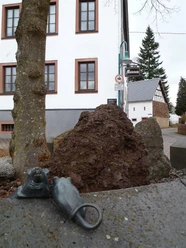 Mausefallenmuseum Neroth (1)