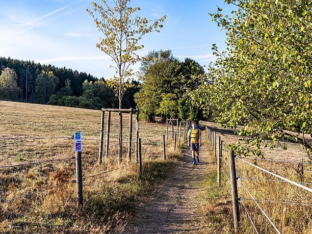 Auf der Traumschleife Almglück
