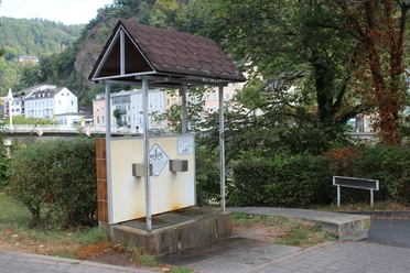 Haustrunk