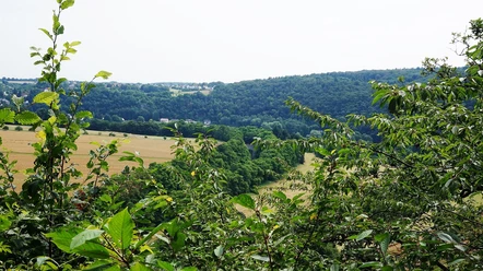 Blick von der Franzosenlay ins Lahntal