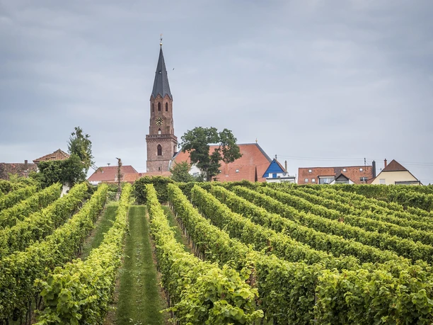 Protestantische Kirche Edenkoben