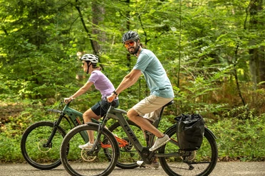 Radtour durch den Bienwald