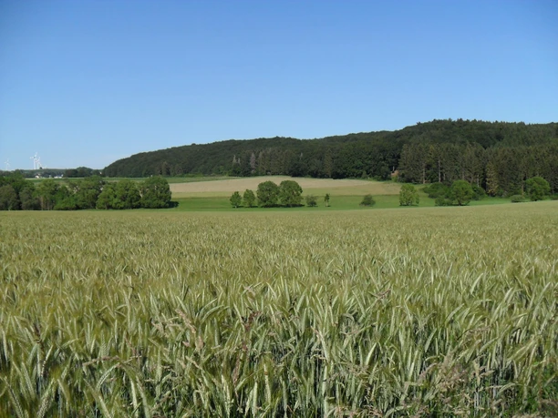 Rommersheim