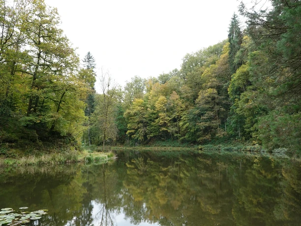 Burgweiher im Herbst
