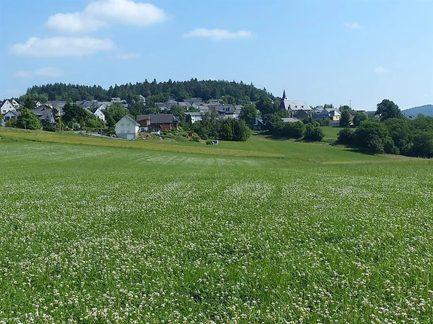 Blick auf Wanderath