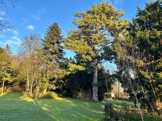 Golsenpark in Zell