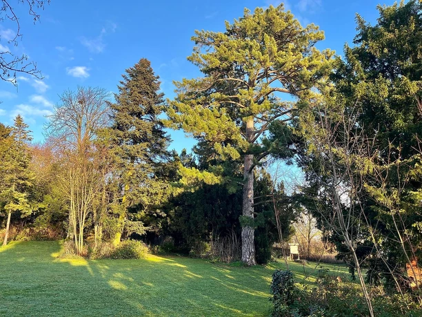 Golsenpark in Zell