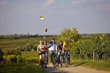 Fahrradvermietung Deidesheim 1
