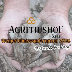 Weingut Agritiushof Konz-Oberemmel (01)