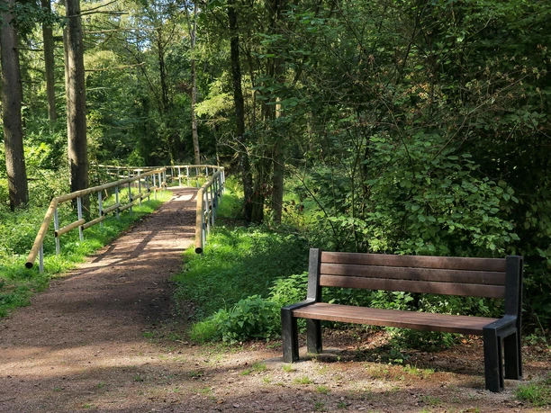 Spazierweg Warsberg (2)