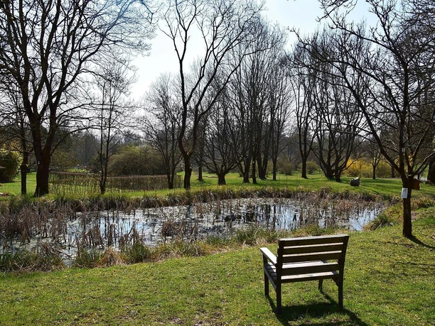 Teich im Neuen Botanischen Garten Teich im Neuen Botanischen Garten