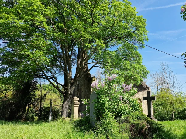 Friedhof an der Kirchenruine St. Maria Magdalena