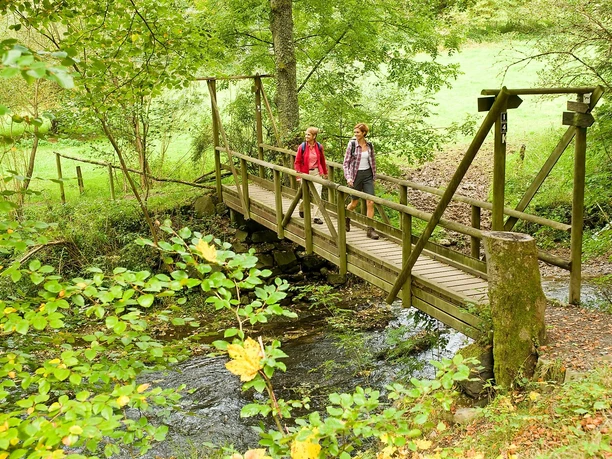 Brücke über die Nister