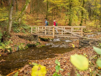 Schrauffweg Püngelbach