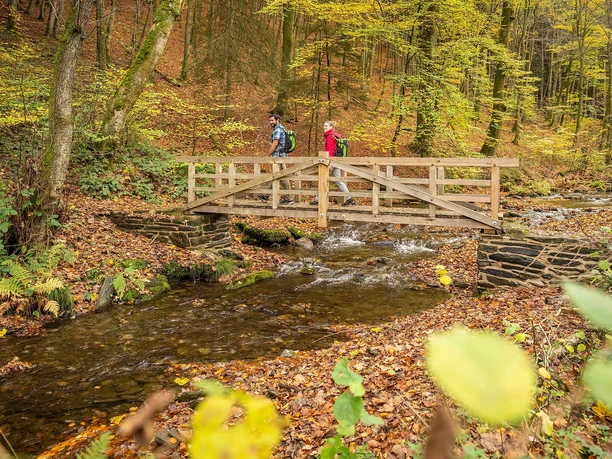 Schrauffweg Püngelbach