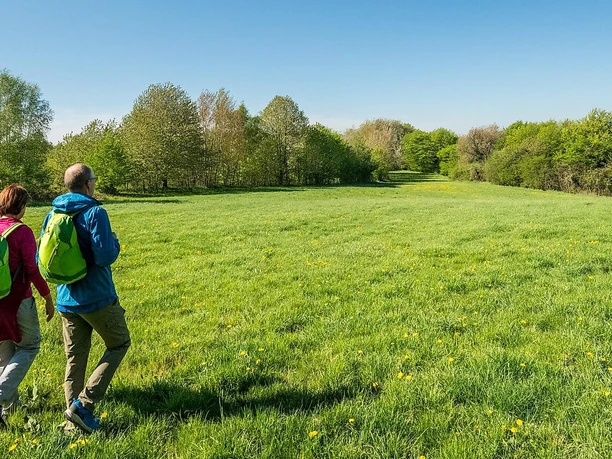 Wandern am Bertenauer Kopf