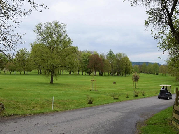 Buggy - Golfplatz Marburg Buggy - Golfplatz Marburg