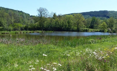 Stausee Irsental