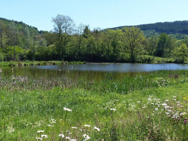 Stausee Irsental