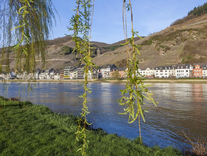 Nordic Walking im Zeller Land