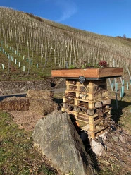 Insektenhotel