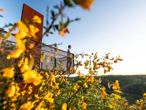 Wandern mit Ausblick in Lutzerath