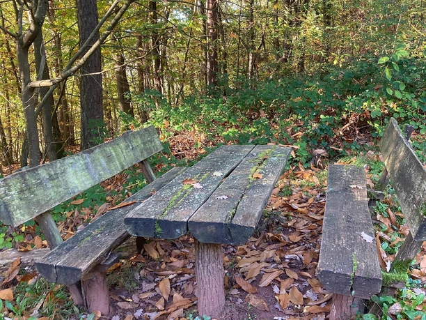 Picknickplatz