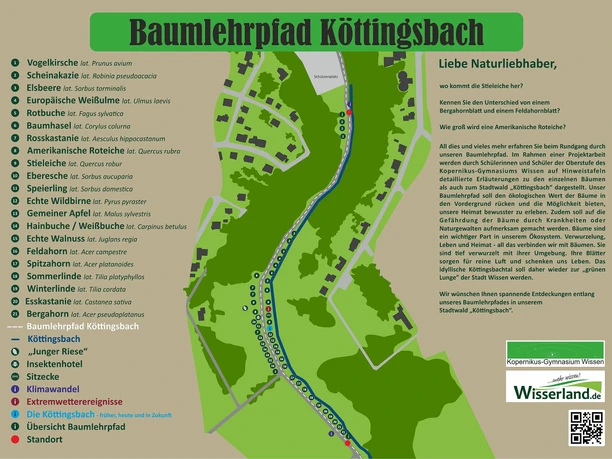 Übersicht Baumlehrpfad
